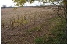 Field - 1,540 sq. ft. Ranch Style Country Home on Nearly 3 Acres
